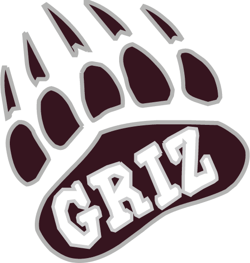 Montana Grizzlies 1996-Pres Alternate Logo v9 iron on transfers for T-shirts